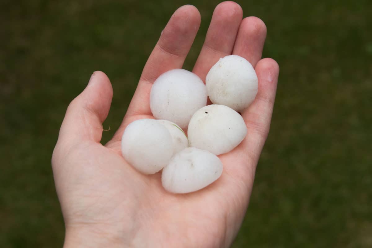 How To Spot Hail Damage On Your Home’s Exterior